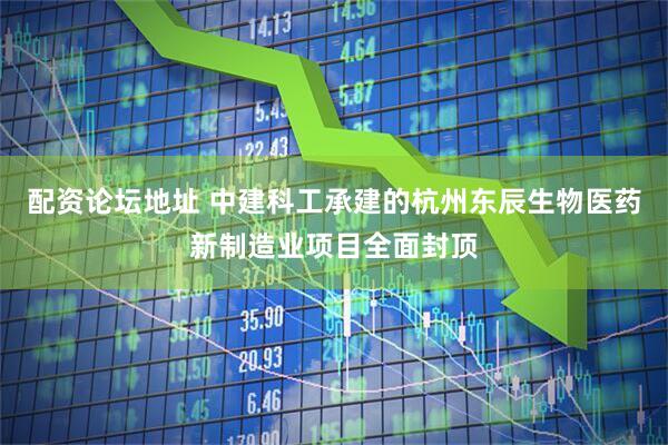 配资论坛地址 中建科工承建的杭州东辰生物医药新制造业项目全面封顶